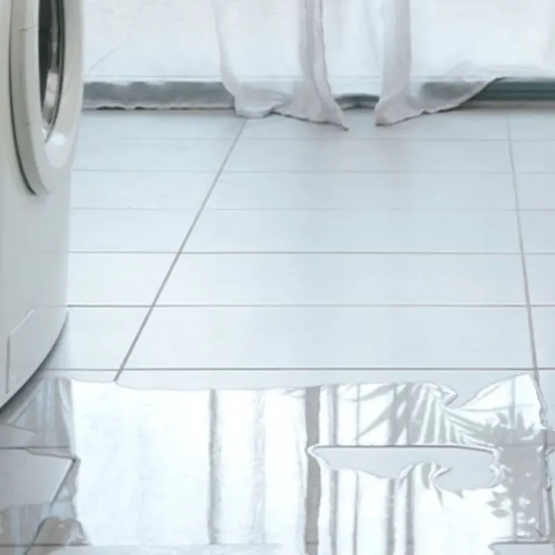 Appliance Leak Cleanup in Saint Paul, MO