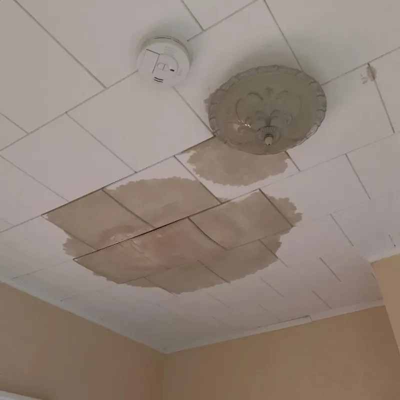 Ceiling Water Damage Repair in Saint Paul, MO