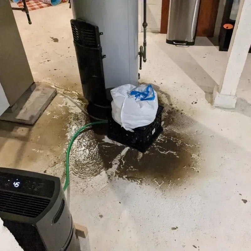 Sewage Backup Cleanup Service in Saint Paul, MO